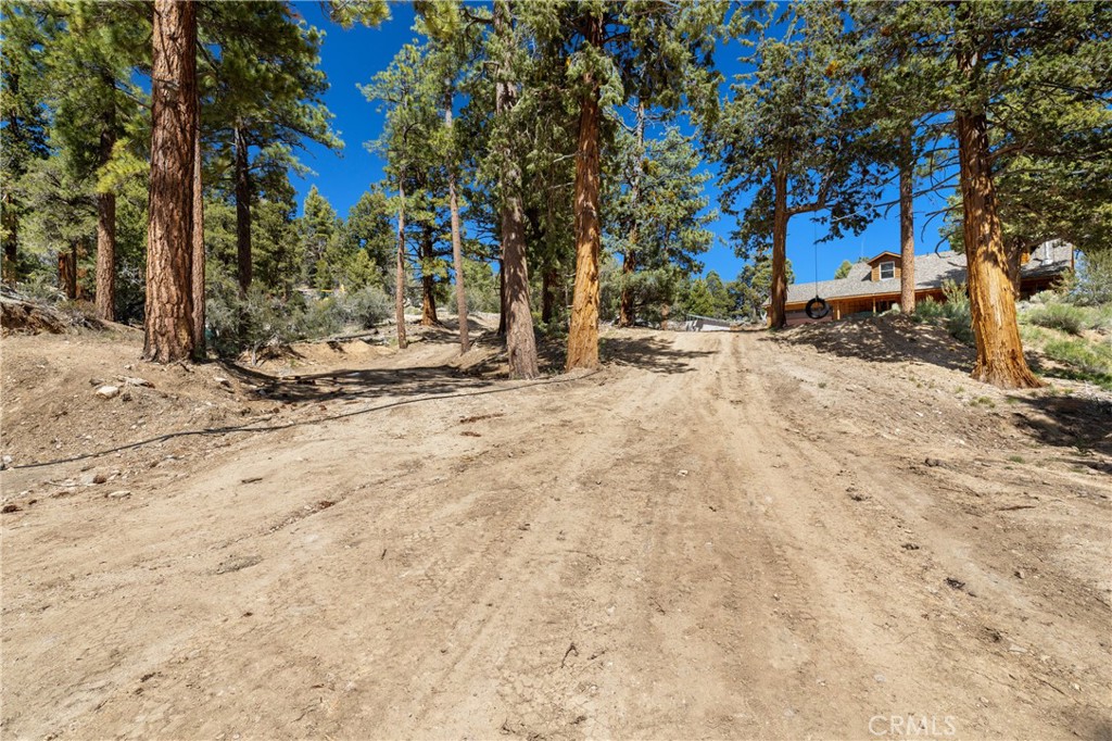 main property photo 39