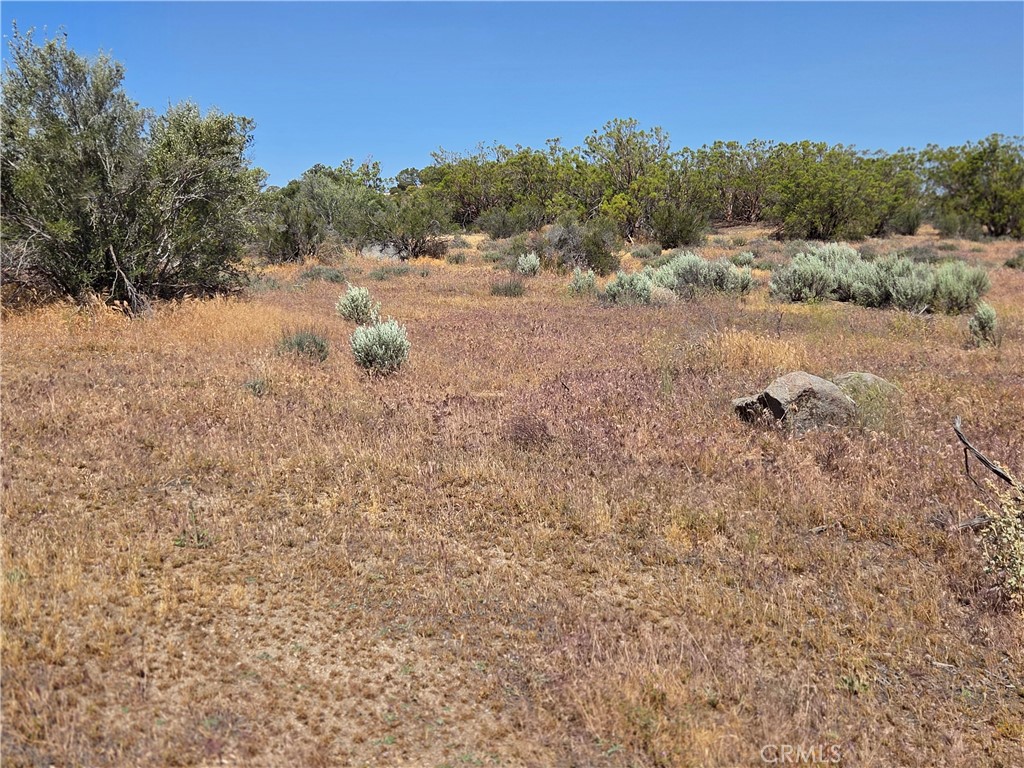 main property photo 13
