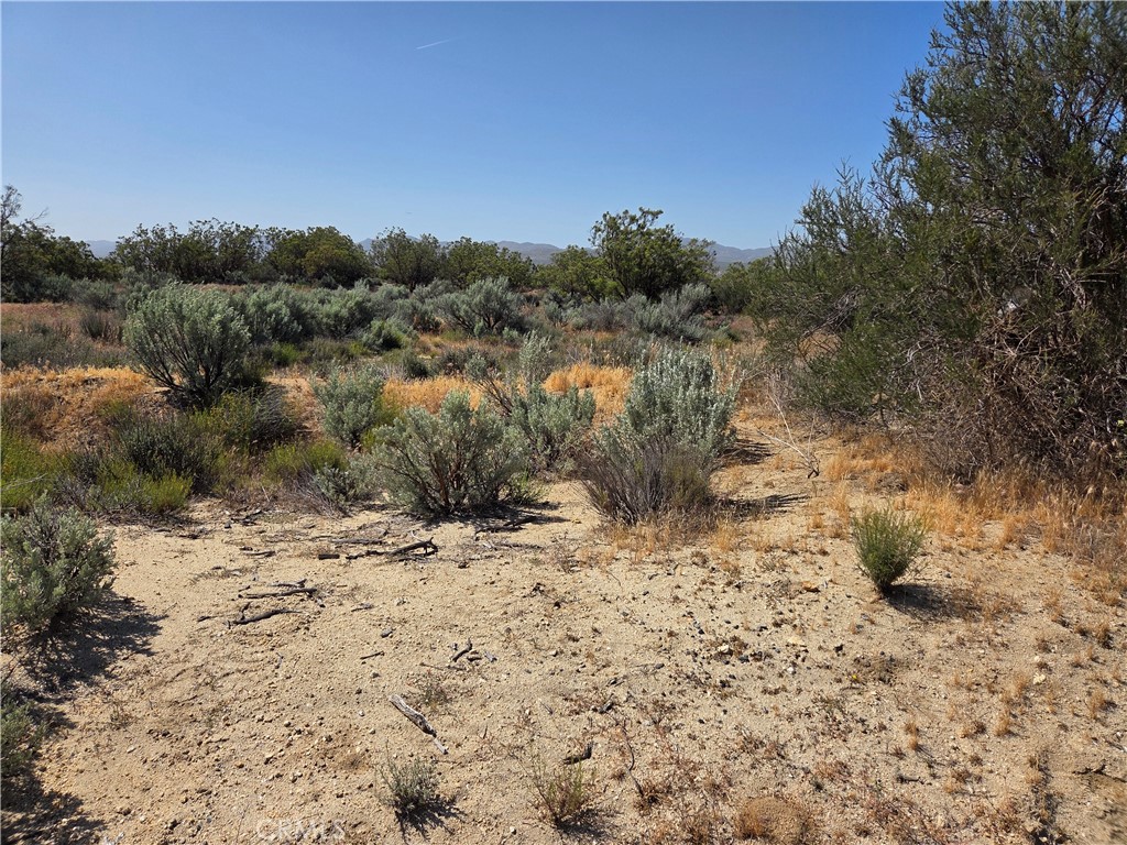 main property photo 5