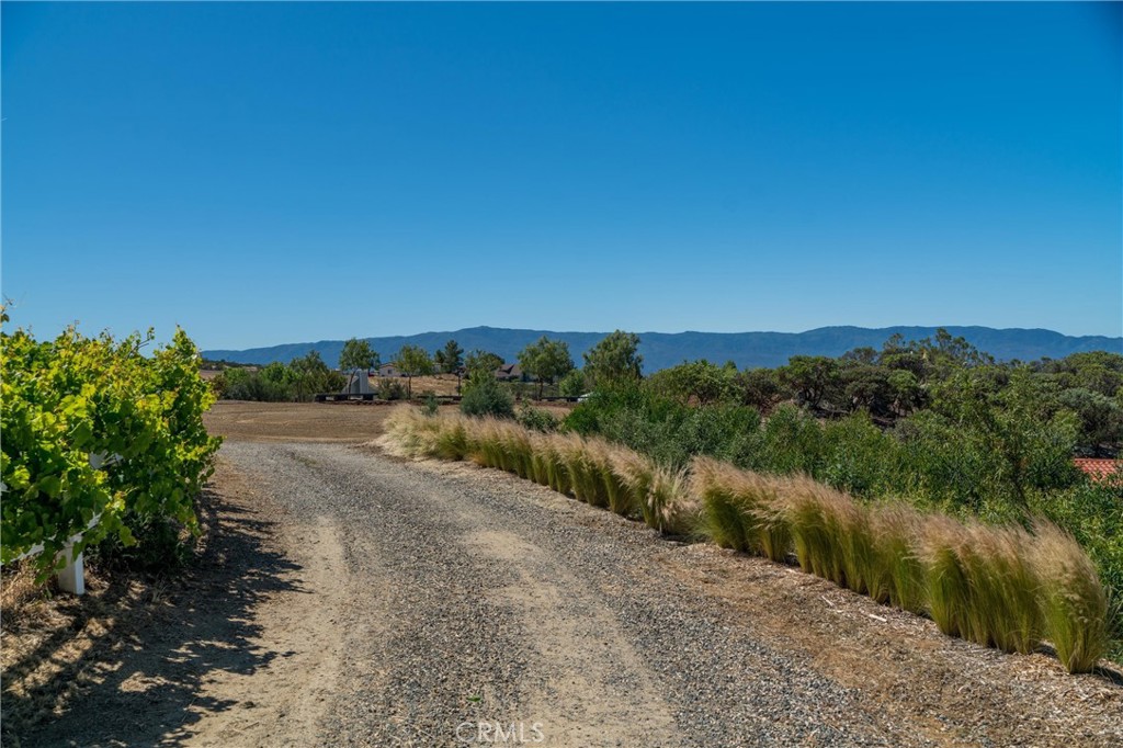 main property photo 55