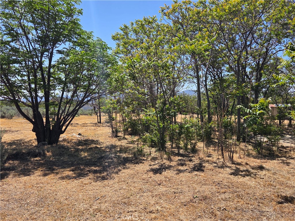 main property photo 12