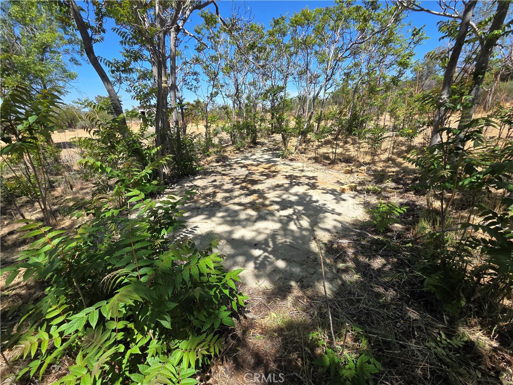 main property photo 22