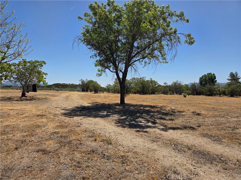 main property photo 25