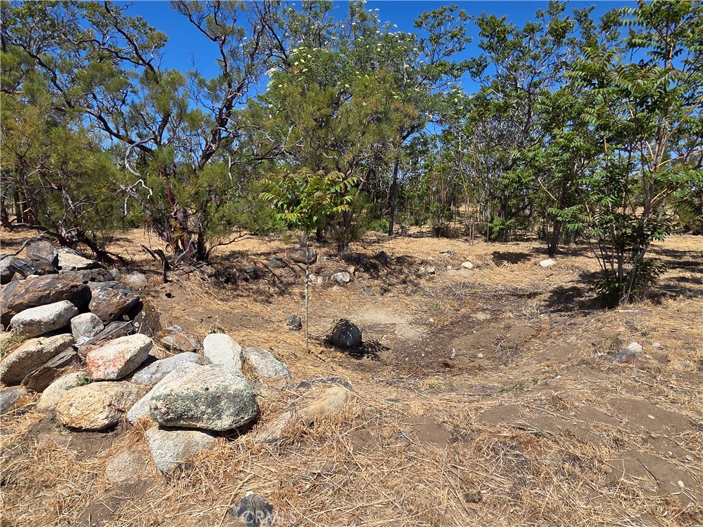 main property photo 7