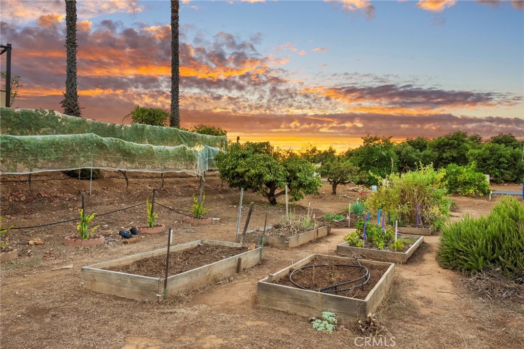 main property photo 68