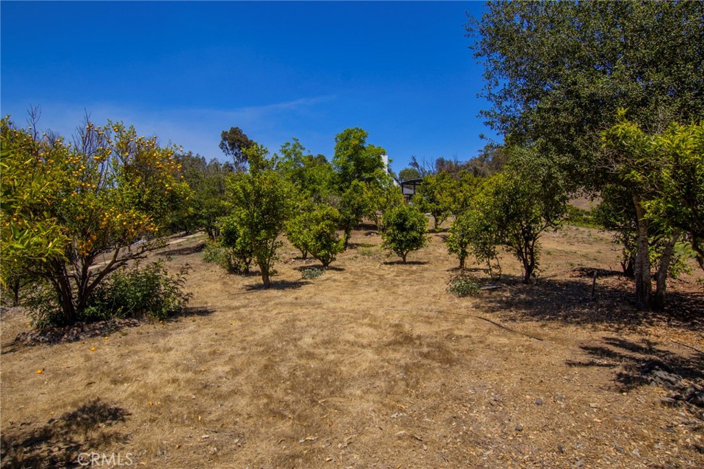main property photo 57