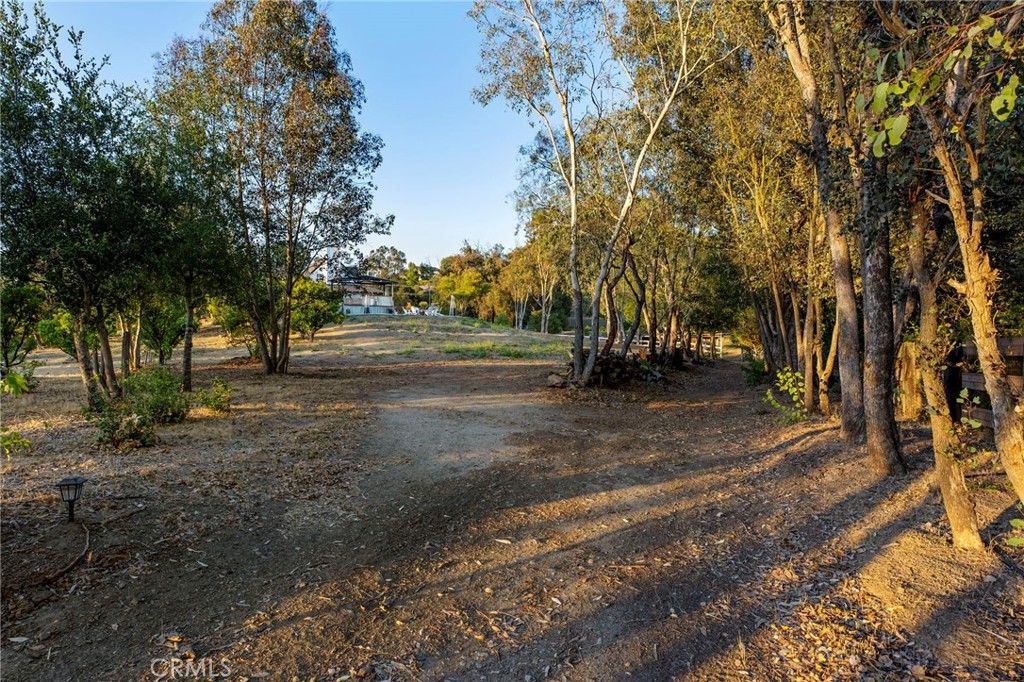 main property photo 67
