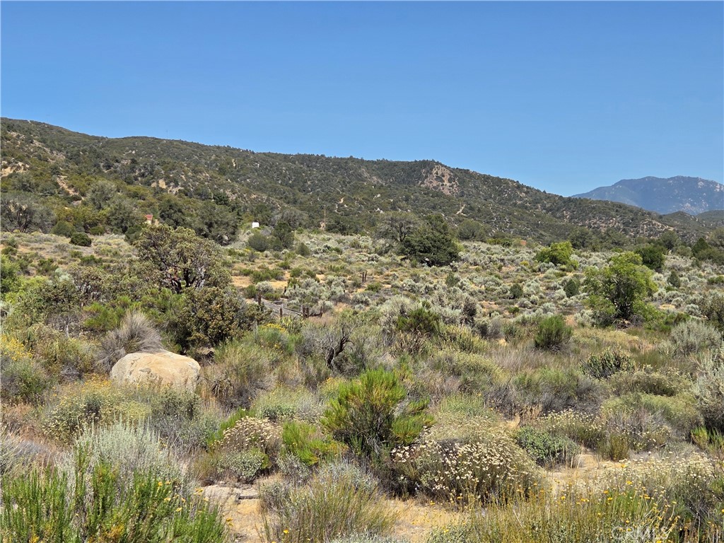 main property photo 6