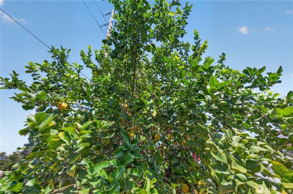 main property photo 54