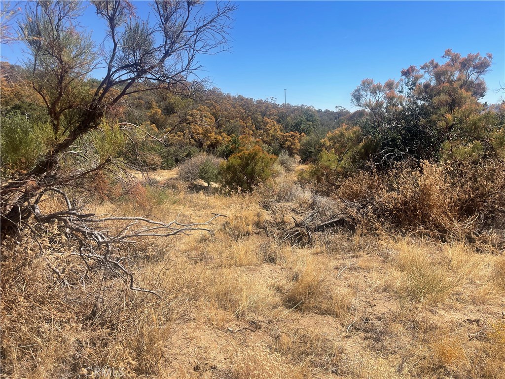 main property photo 32