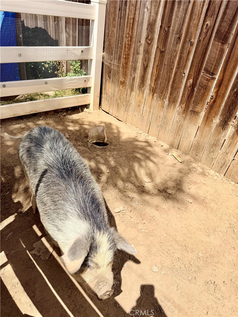main property photo 40