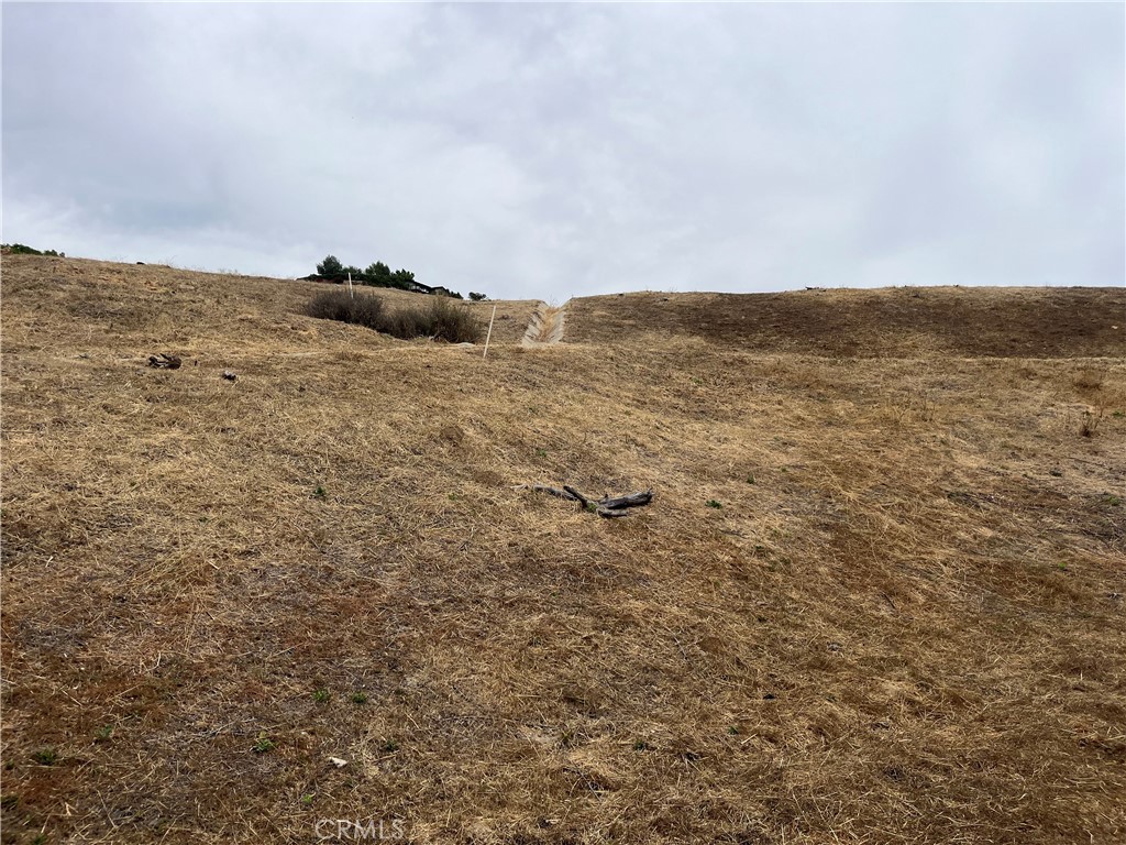 main property photo 41