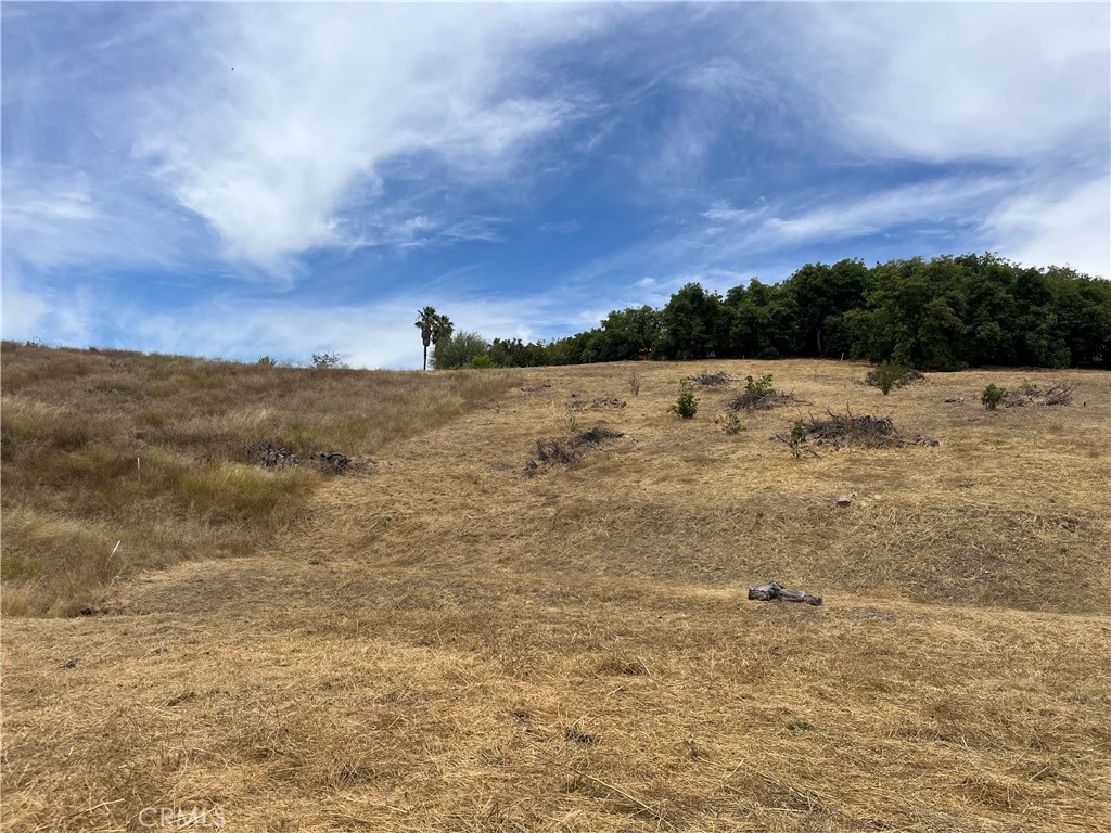 main property photo 49