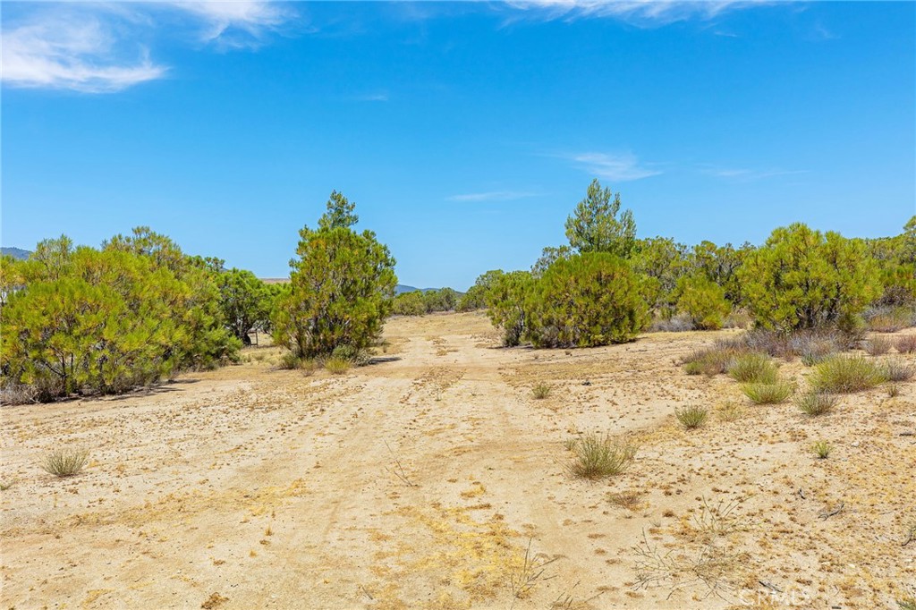 main property photo 22