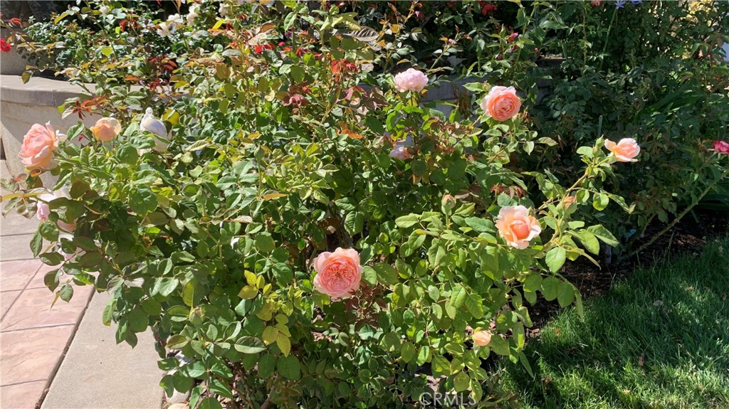 main property photo 68