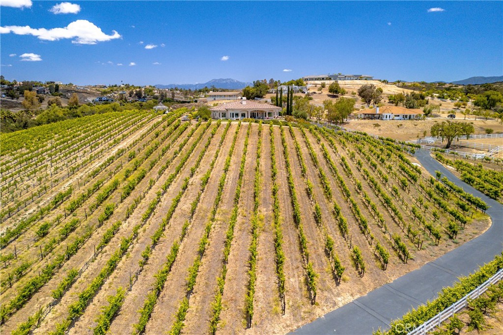 main property photo 67