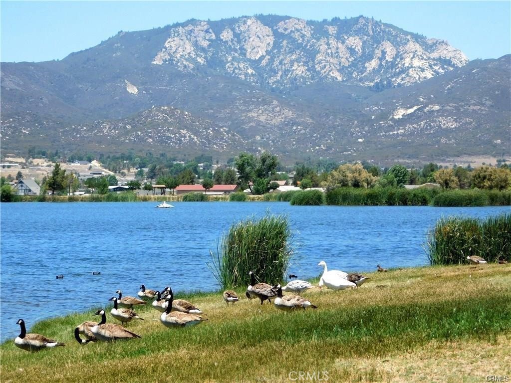 main property photo 57