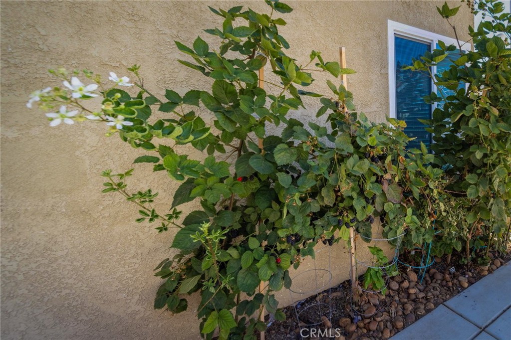 main property photo 54