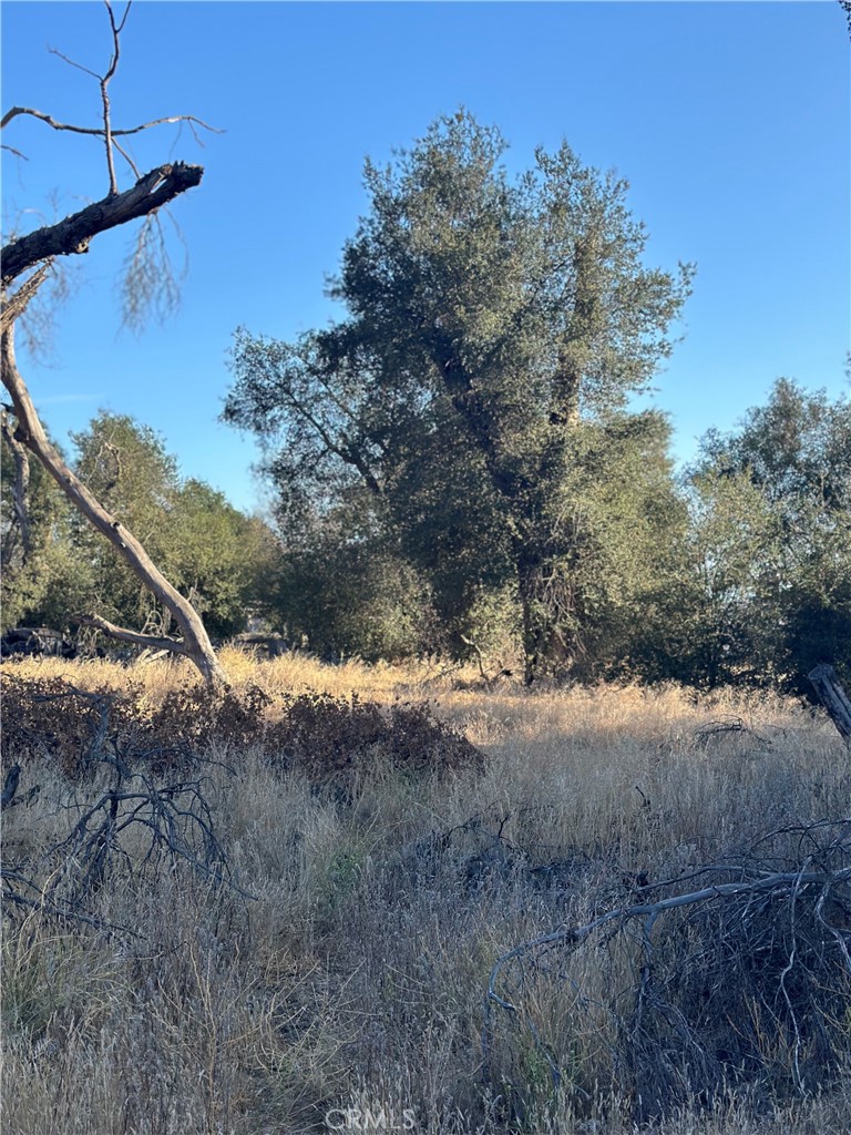 main property photo 30