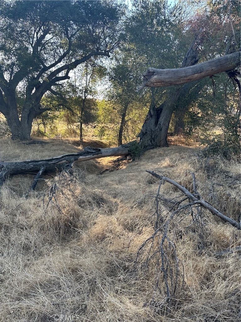 main property photo 47