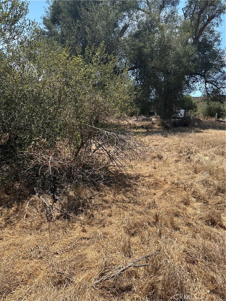 main property photo 61