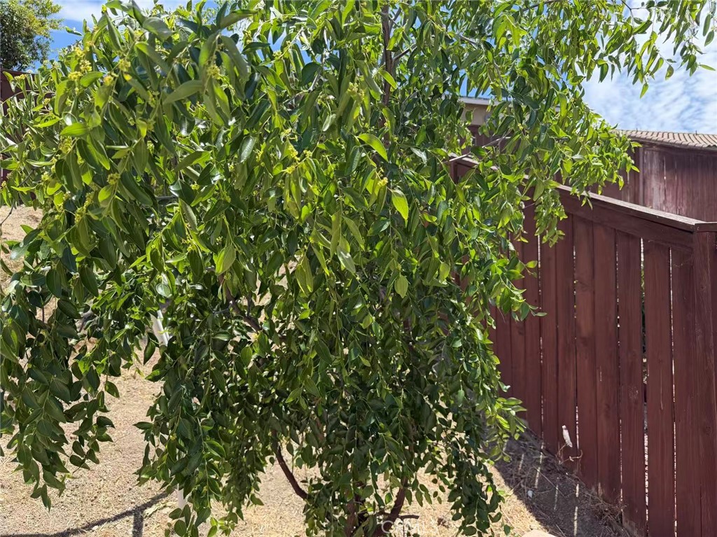 main property photo 51