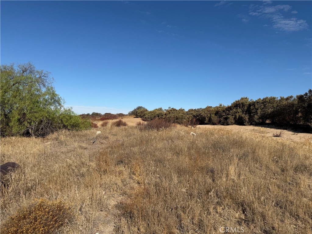 main property photo 10