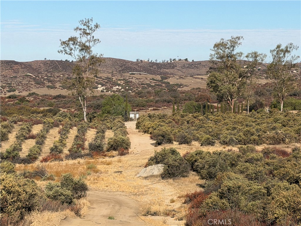 main property photo 5