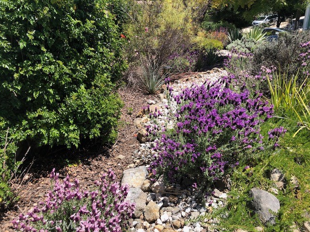 main property photo 61