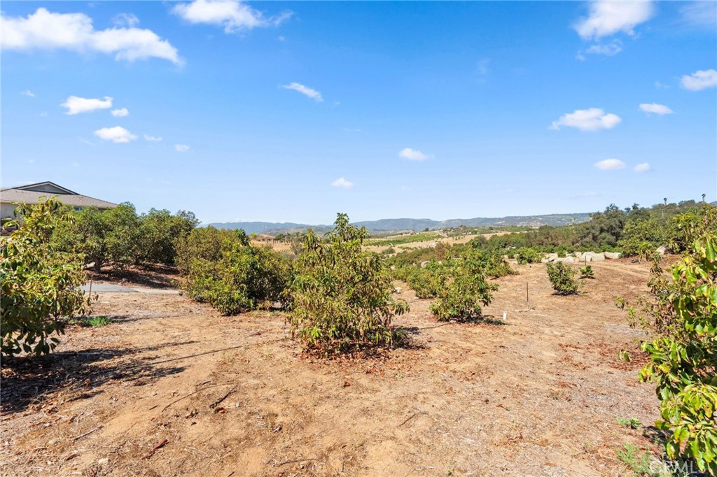 main property photo 55