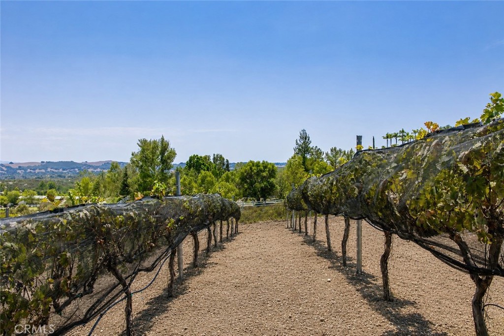 main property photo 65
