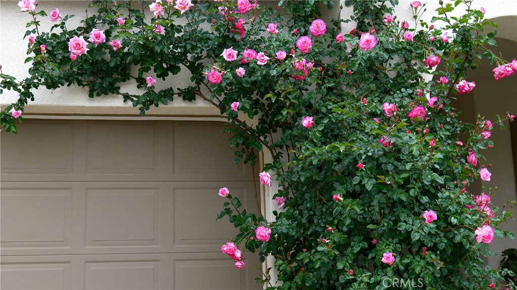 main property photo 70
