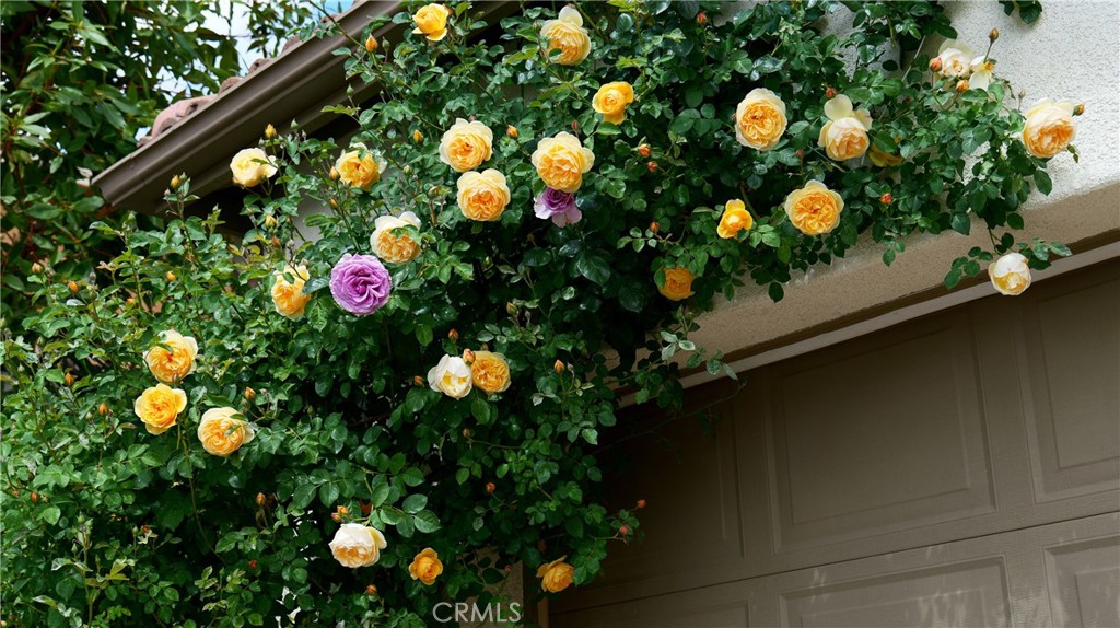 main property photo 71