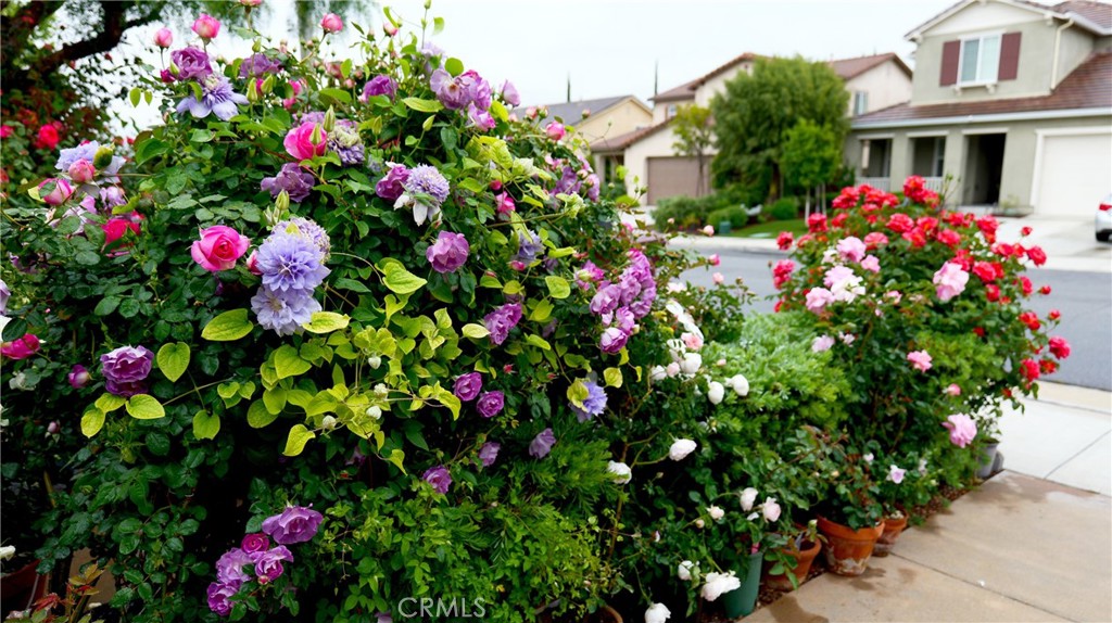 main property photo 72