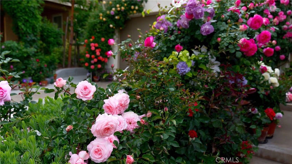 main property photo 73