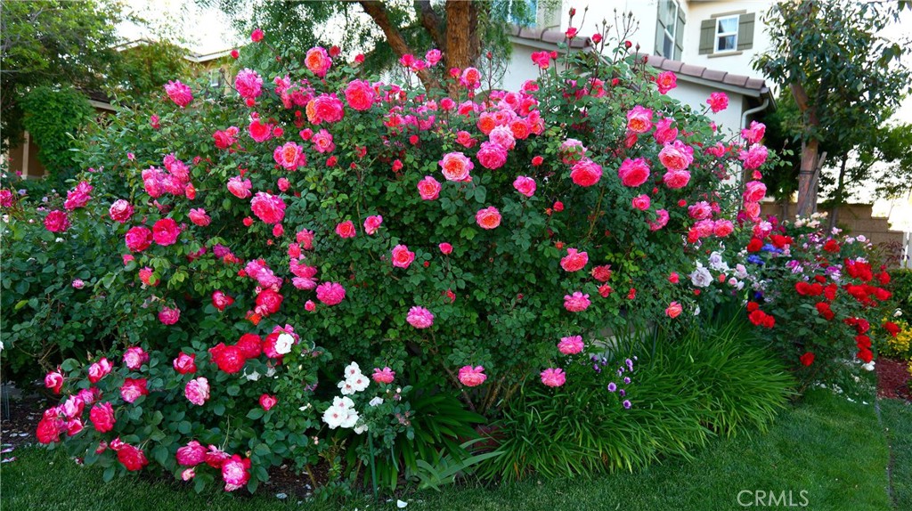 main property photo 74