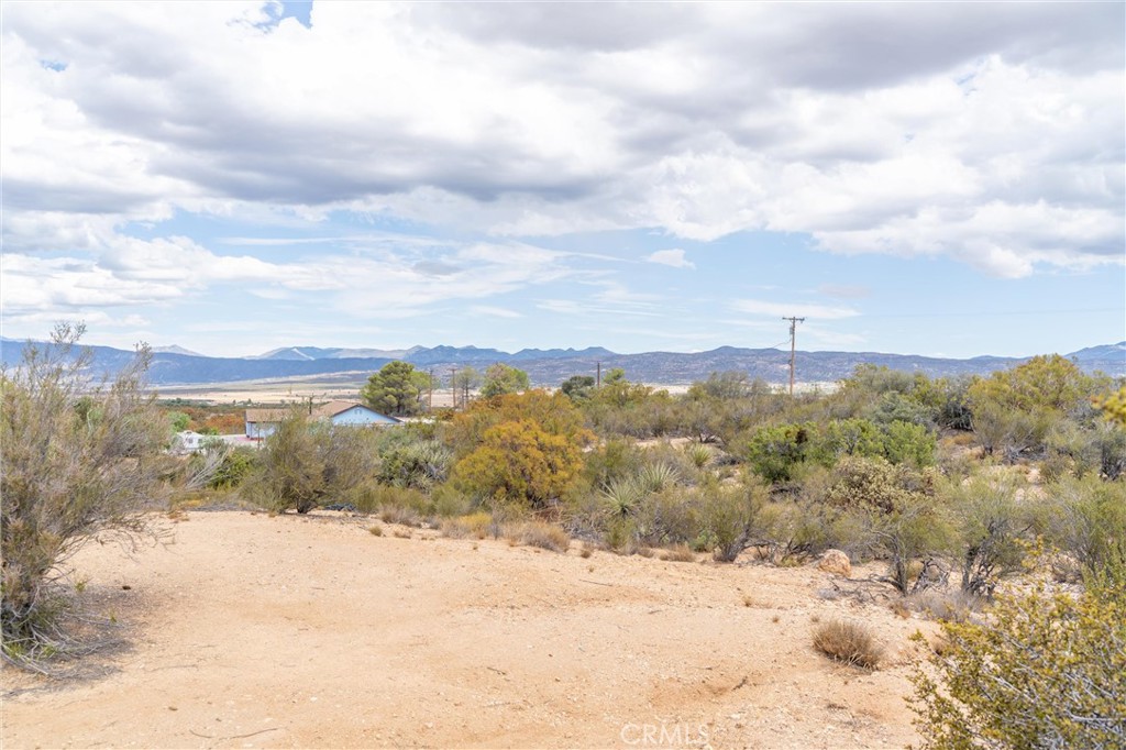 main property photo 57