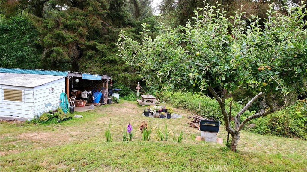 main property photo 11