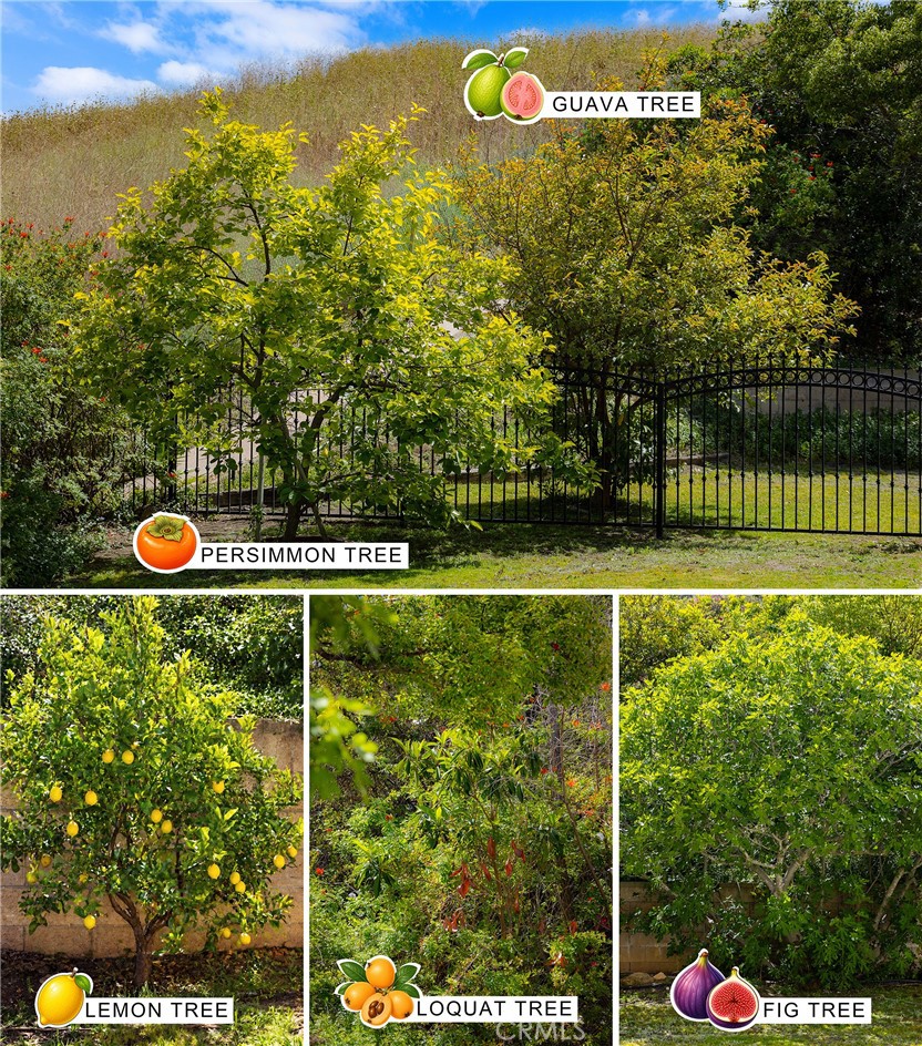 main property photo 62
