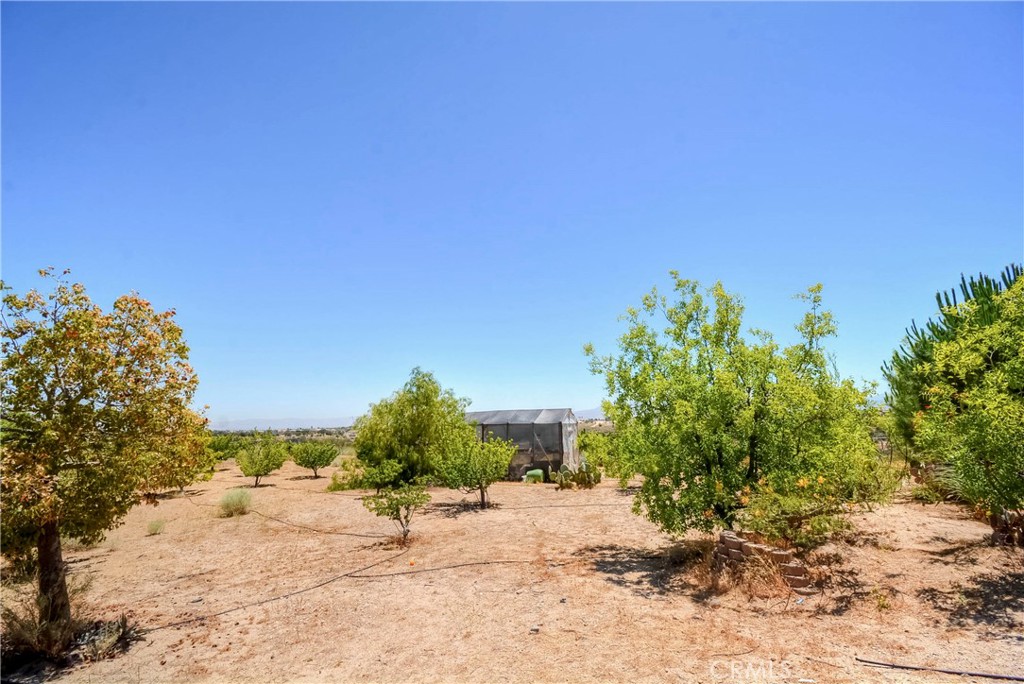 main property photo 40