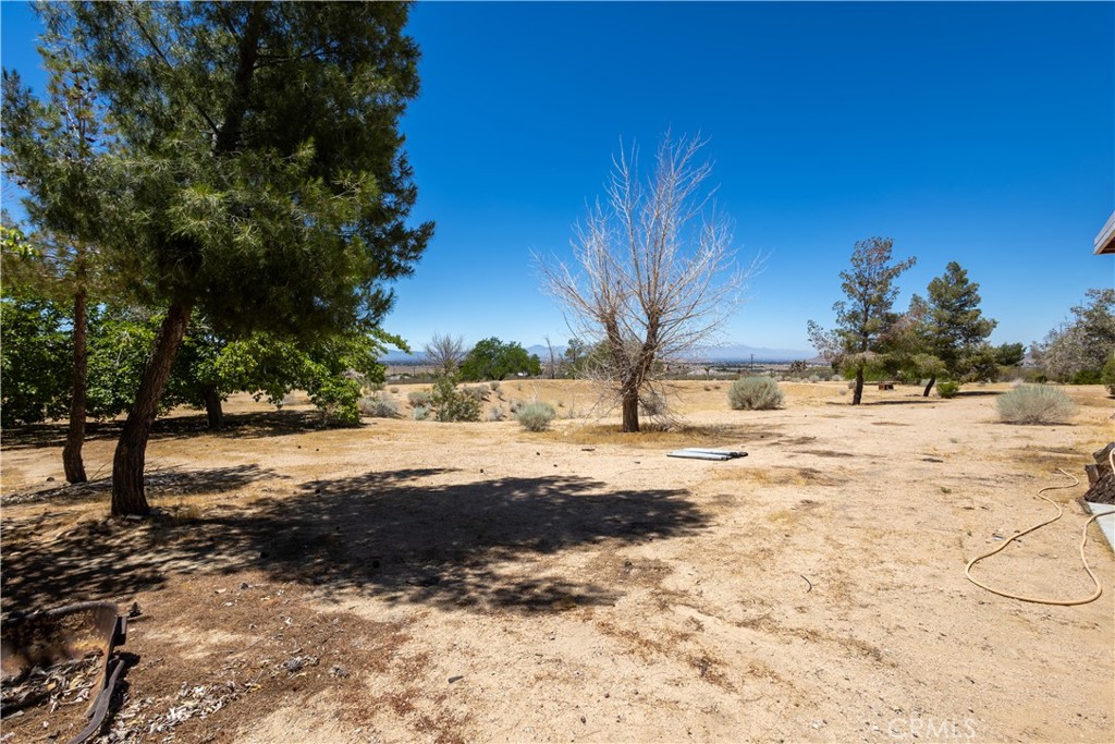 main property photo 46