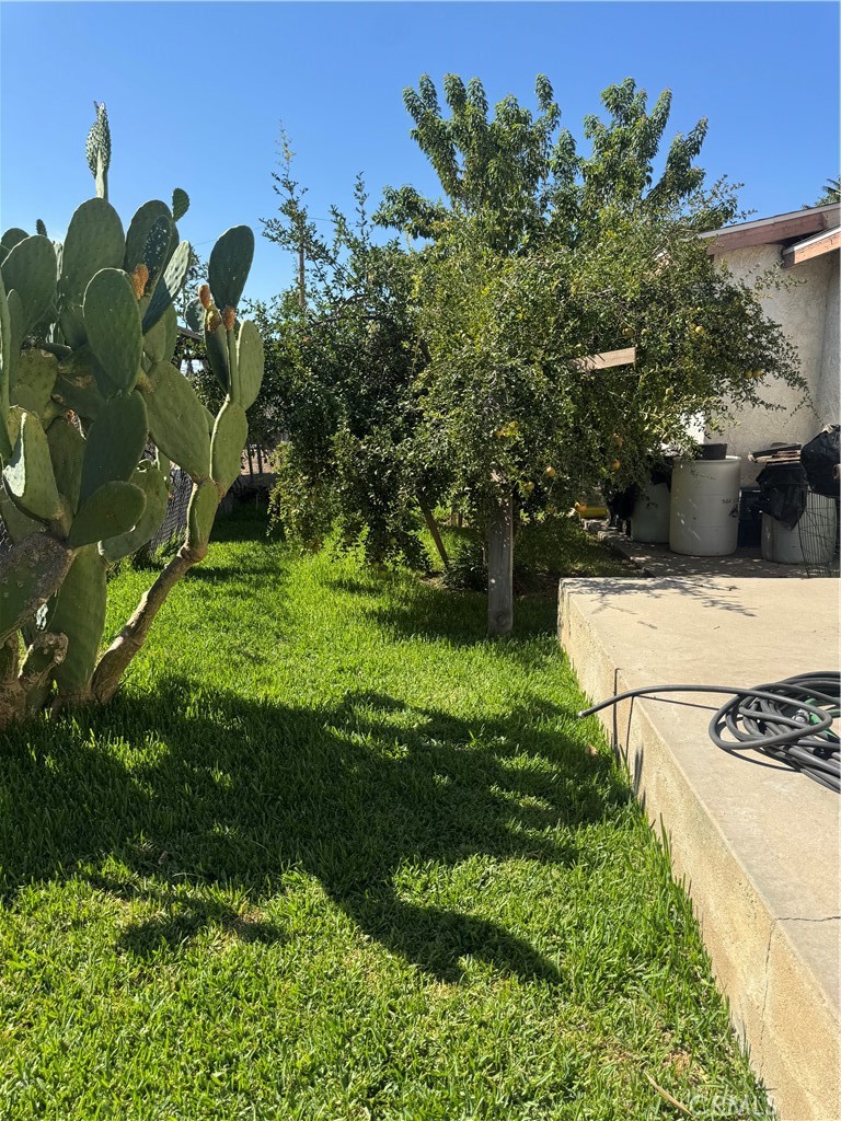 main property photo 15