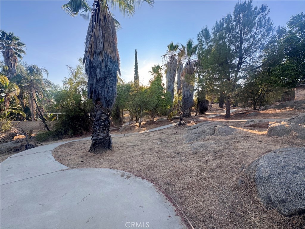 main property photo 46