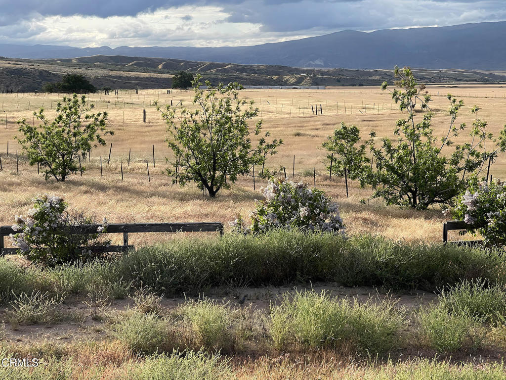 main property photo 57