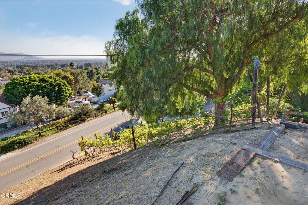main property photo 65