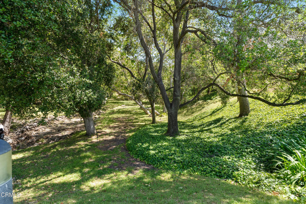 main property photo 58