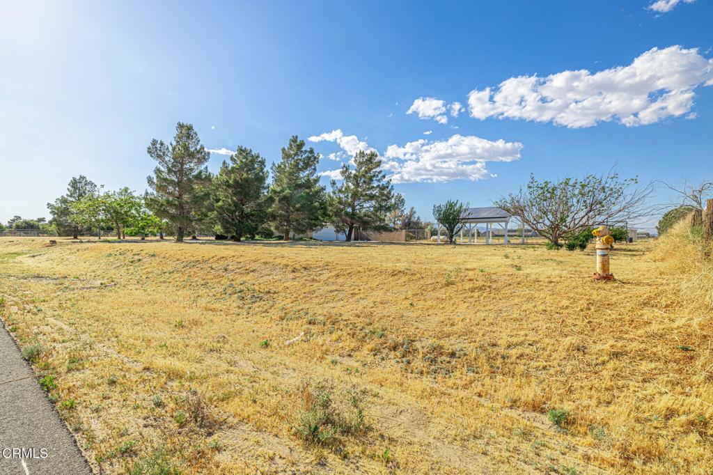 main property photo 41