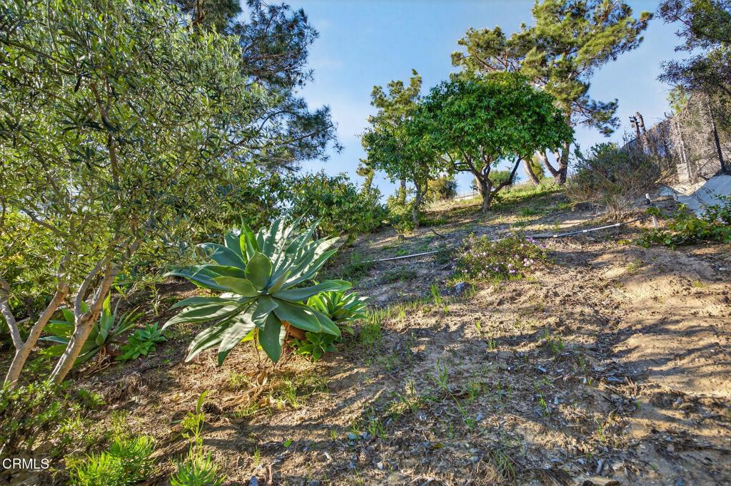 main property photo 52