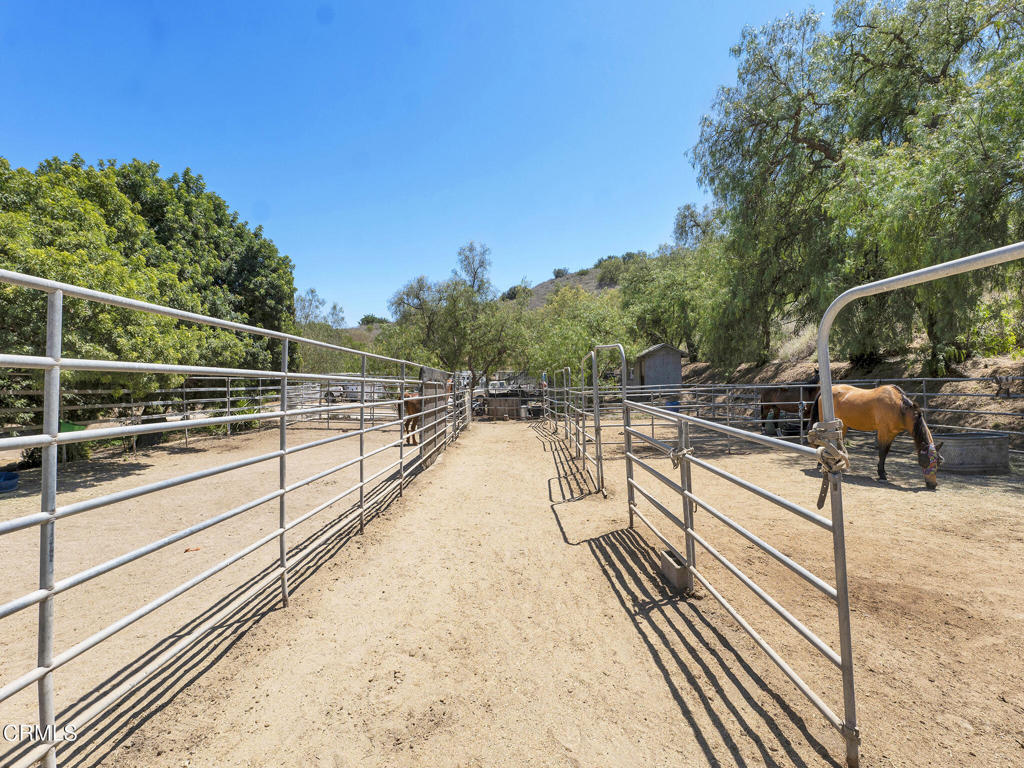 main property photo 56