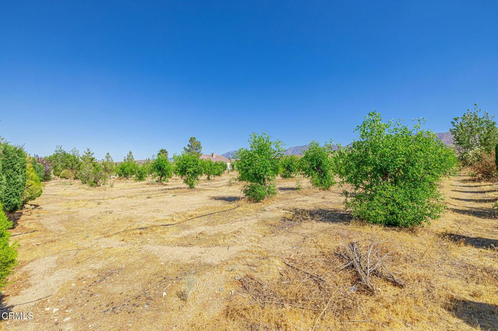 main property photo 46
